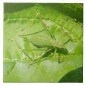 Green Cricket Camouflage Tile Fliese (Vorderseite)