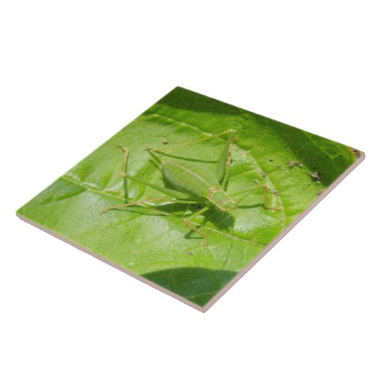Green Cricket Camouflage Tile Fliese (Seite)