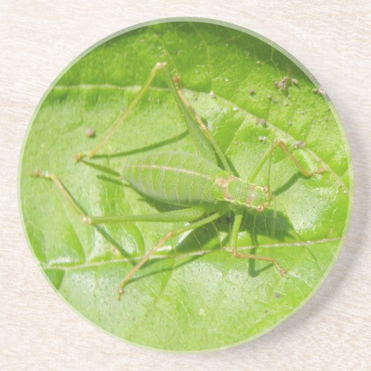 Green Cricket Camouflage Untersetzer (Vorne)
