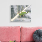 Green Cricket Macro Canvas Print Leinwanddruck (Insitu (Wohnzimmer))