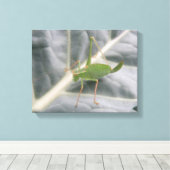 Green Cricket Macro Canvas Print Leinwanddruck (Insitu (Holzboden))