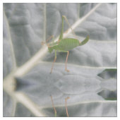 Green Cricket Macro Gemustertes Tiergewebe Stoff (Nahaufnahme)