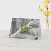 Green Cricket Macro Grußkarte Karte (Gelbe Blume)