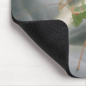 Green Cricket Macro Mousepad (Ecke)