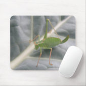Green Cricket Macro Mousepad (Mit Mouse)