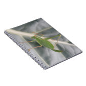 Green Cricket Macro Notebook Notizblock (Rechte Seite)