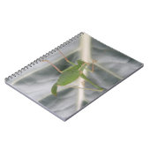 Green Cricket Macro Notebook Notizblock (Linke Seite)