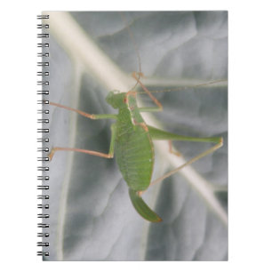Green Cricket Macro Notebook Notizblock