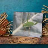 Green Cricket Macro Plaque Fotoplatte (Seite)