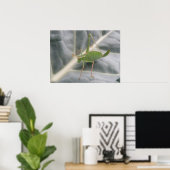 Green Cricket Macro Print Poster (Heimbüro)