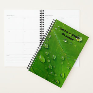 Green Custom Planer 2023