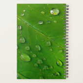 Green Custom Planer 2023 (Rückseite)