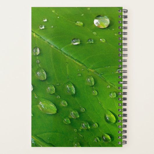 Green Custom Planer 2023 (Rückseite)