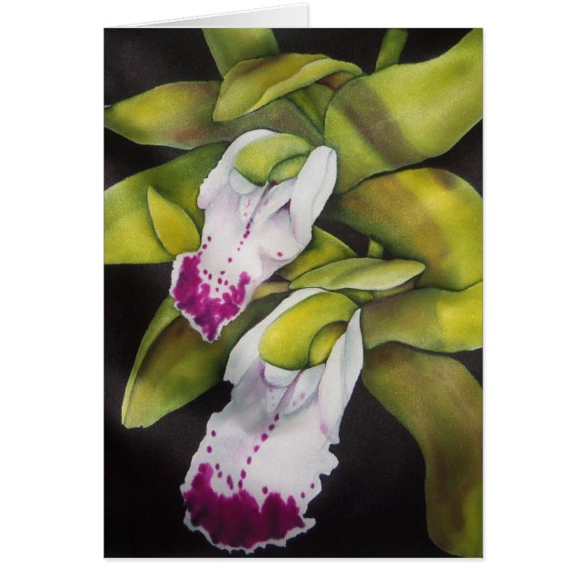 Green Cymbidium Orchid (Vorne)