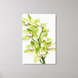 Green Cymbidium Orchid Blume Wrapped Canvas Print Leinwanddruck