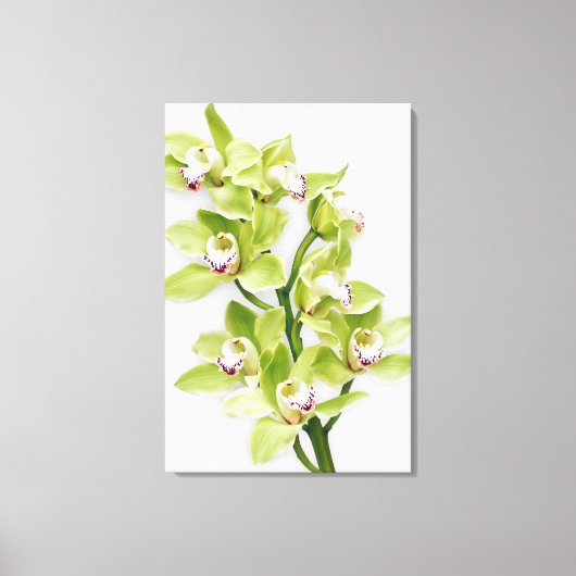 Green Cymbidium Orchid Blume Wrapped Canvas Print Leinwanddruck (Vorderseite)