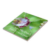 Green Cymbidium Orchid Fliese (Seite)