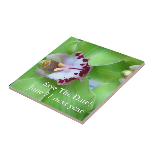 Green Cymbidium Orchid Fliese (Seite)