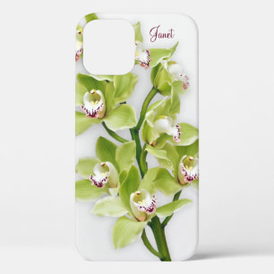 Green Cymbidium Orchid Floral iPhone 6 Fall 12 Hülle