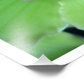 Green Cymbidium Orchids Fotodruck (Ecke)