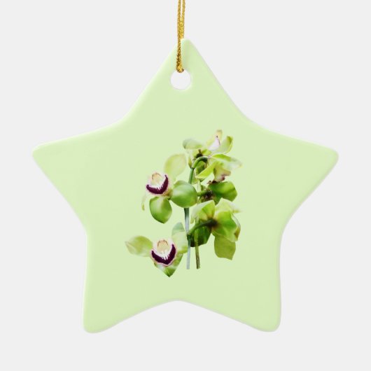 Green Cymbidium Orchids Keramik Ornament (Vorne)