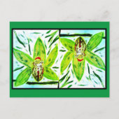 Green Cymbidium Orchius Postkarte (Vorderseite)