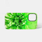 Green Dahlia Blume iPhone Hülle (Rückseite (Horizontal))