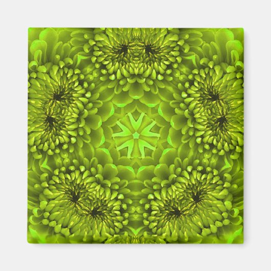 GREEN DAHLIA MAGNET (Vorne)