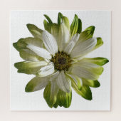 Green Daisy Jigsaw Puzzle (Horizontal)