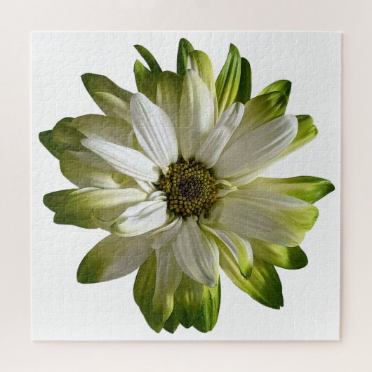Green Daisy Jigsaw Puzzle (Horizontal)