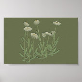 Green Daisy-Wandplakat Poster (Vorne)