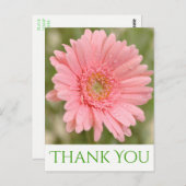 Green Danke Pink Gerbera Daisy Blume Postkarte (Vorne/Hinten)