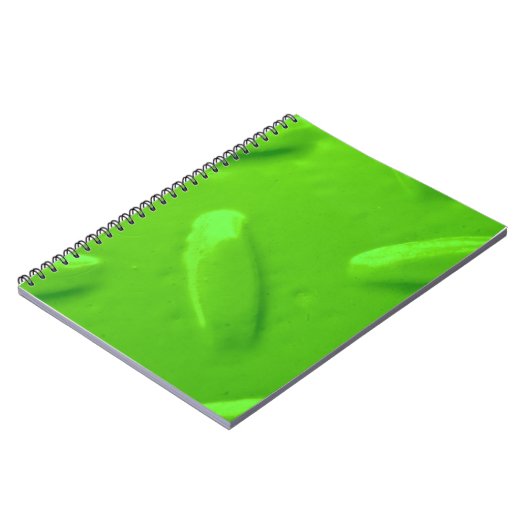 Green Diamondplate Notizblock (Linke Seite)