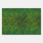 Green Dinosaur versteckt Geschenkpapier Set (Vorderseite)