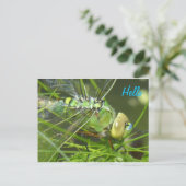 Green Dragonfly HELLO Postkarte (Stehend Vorderseite)