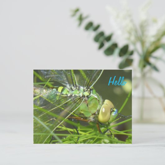 Green Dragonfly HELLO Postkarte (Stehend Vorderseite)