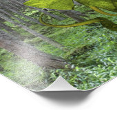 Green Elephant Snake Fotodruck (Ecke)