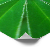 Green Energy Poster Print (Ecke)