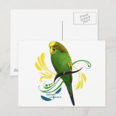 Green English Budgie Postkarte (Vorne/Hinten)