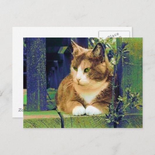 GREEN EYES POSTCARDS POSTKARTE (Vorne/Hinten)