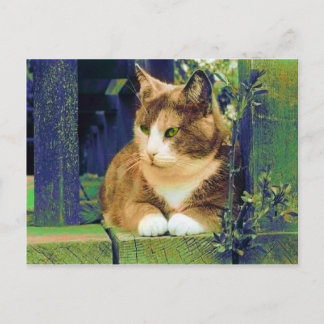 GREEN EYES POSTCARDS POSTKARTE