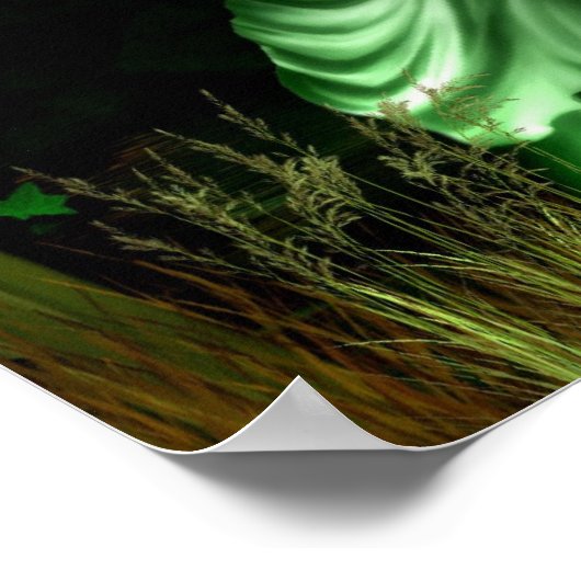 Green Fairy Glen Poster Print (Ecke)