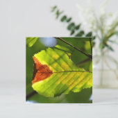 Green Fall Leaf (Stehend Vorderseite)