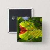 Green Fall Leaf Button (Vorne & Hinten)