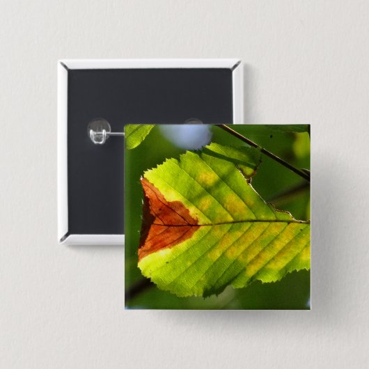 Green Fall Leaf Button (Vorne & Hinten)