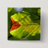 Green Fall Leaf Button (Vorderseite)