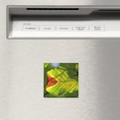 Green Fall Leaf Magnet (In Situ (Geschirrspüler))