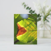 Green Fall Leaf Postkarte (Stehend Vorderseite)