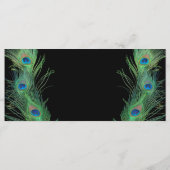 Green Feathers with Black Wedding Program Programm (Rückseite)