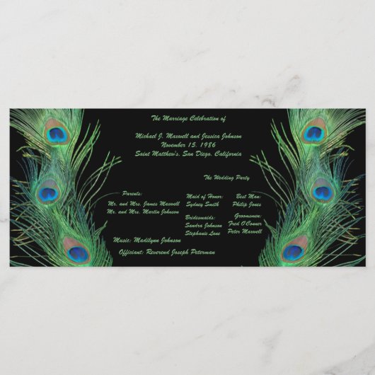 Green Feathers with Black Wedding Program Programm (Vorderseite)